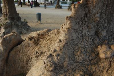 Прикрепленное изображение: DSC_0034.JPG